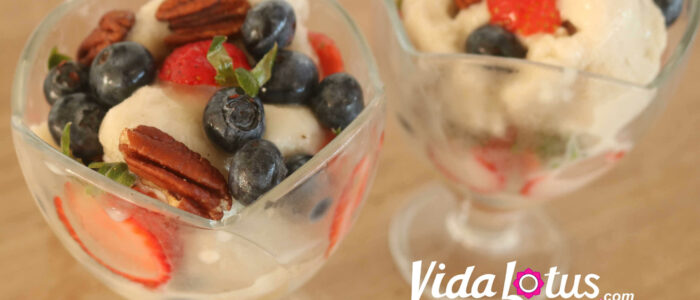 Vida Lotus NiceCream