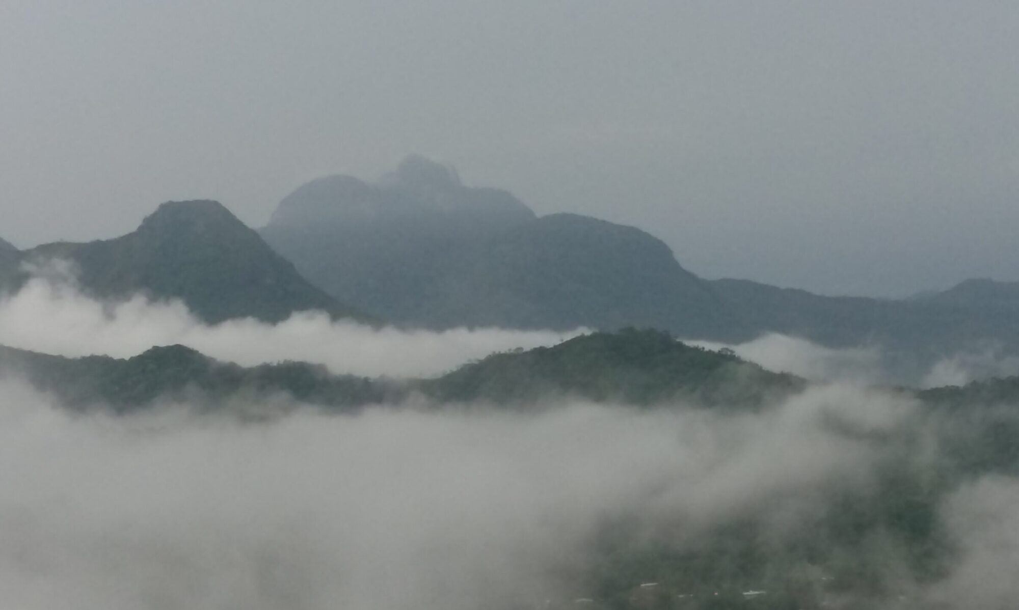 Vida Lotus View of Mount Trinity Hills