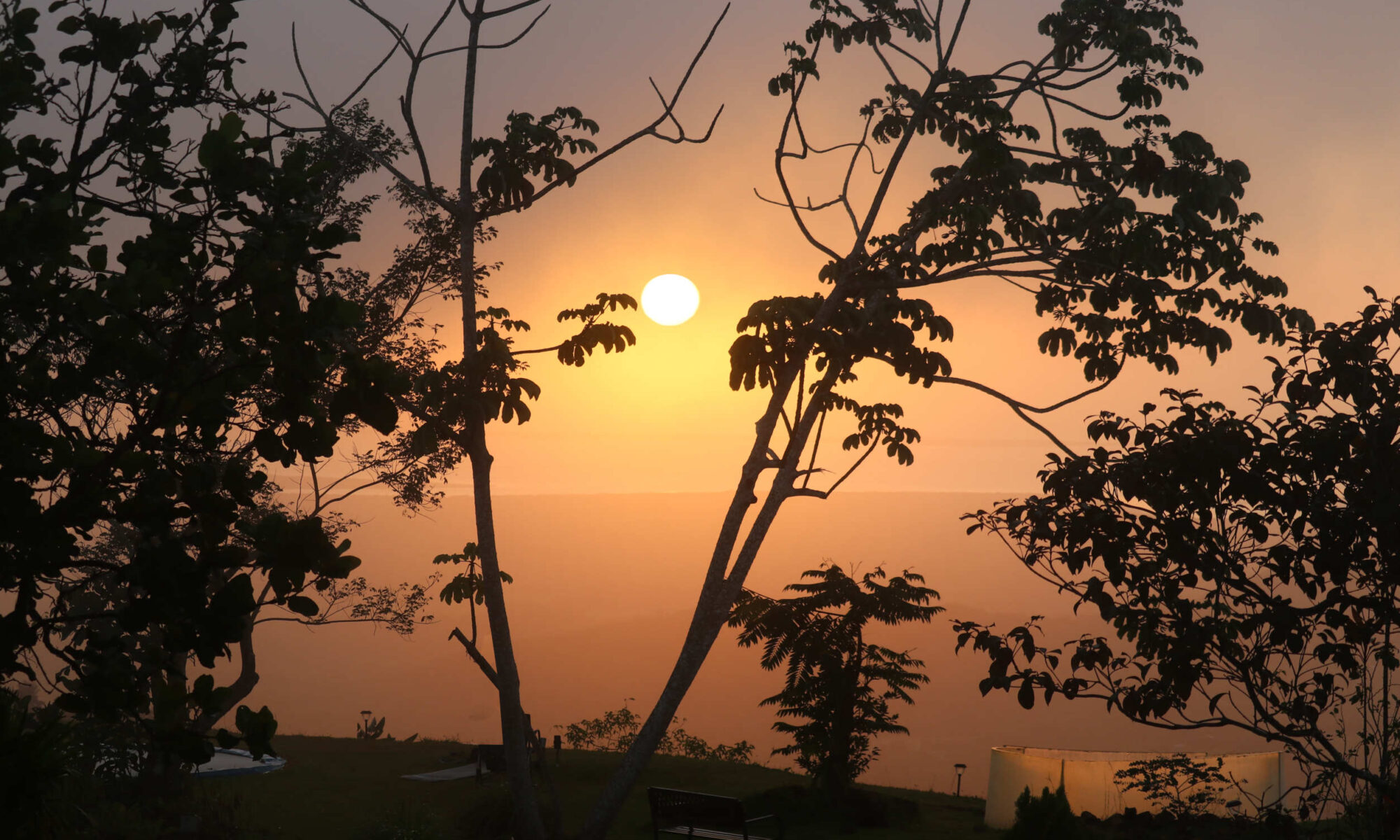 Vida Lotus view sunrise betwen two guarumo trees